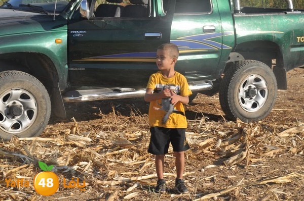 7amam lud monir 908 (3).JPG